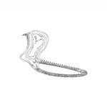 A day in Asia 202110121311