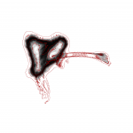 A day in Asia 202110131209