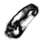 A day in Asia 202110142108