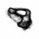 A day in Asia 202110151049