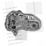 Asia with Multi-Standard 202110180214