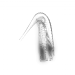 A day in Asia 202110191721