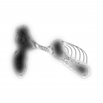 A day in Asia 202110192056