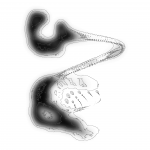 A day in Asia 202110202212