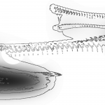 A day in Asia 202110241347