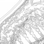 A day in Asia 202110261131