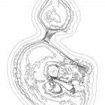 A day in Asia 202110280150