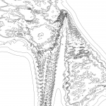 A day in Asia 202110281218