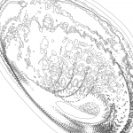 A day in Asia 202110281354