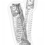 A day in Asia 202110290908