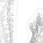 A day in Asia 202110311625