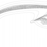 A day in Asia 202111010912