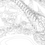 A day in Asia 202111021135