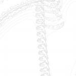 A day in Asia 202111030746