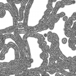 A day in Asia 202111040425