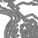 A day in Asia 202111041517