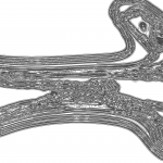 A day in Asia 202111051126