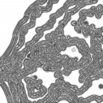 A day in Asia 202111051825