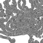 A day in Asia 202111062329