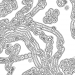 A day in Asia 202111071000