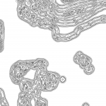 A day in Asia 202111081421