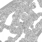 A day in Asia 202111081631