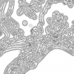 A day in Asia 202111082010