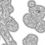 A day in Asia 202111091544