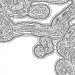 A day in Asia 202111091612