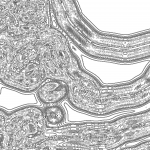 A day in Asia 202111091710