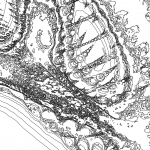 A day in Asia 202111110438