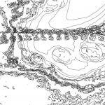 A day in Asia 202111111208