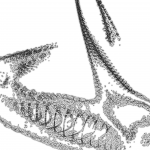 A day in Asia 202111130130