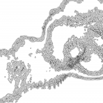 A day in Asia 202111150730