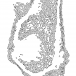 A day in Asia 202111150750