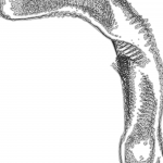 A day in Asia 202111151133