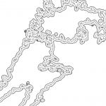 A day in Asia 202111160615