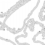 A day in Asia 202111161505