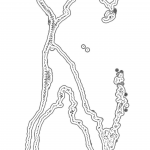 A day in Asia 202111170240