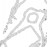 A day in Asia 202111171100