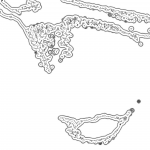 A day in Asia 202111171147