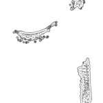 A day in Asia 202111180925