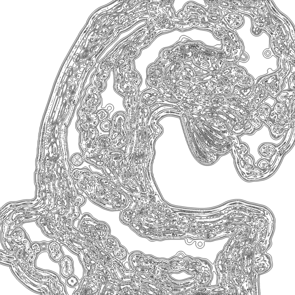 A day in Asia 202111191531