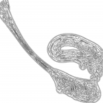 A day in Asia 202111201219