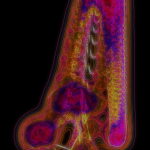 A Day in Asia 202111220102