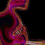 A Day in Asia 202111220605