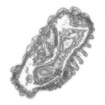 A Day in Asia 202111230425