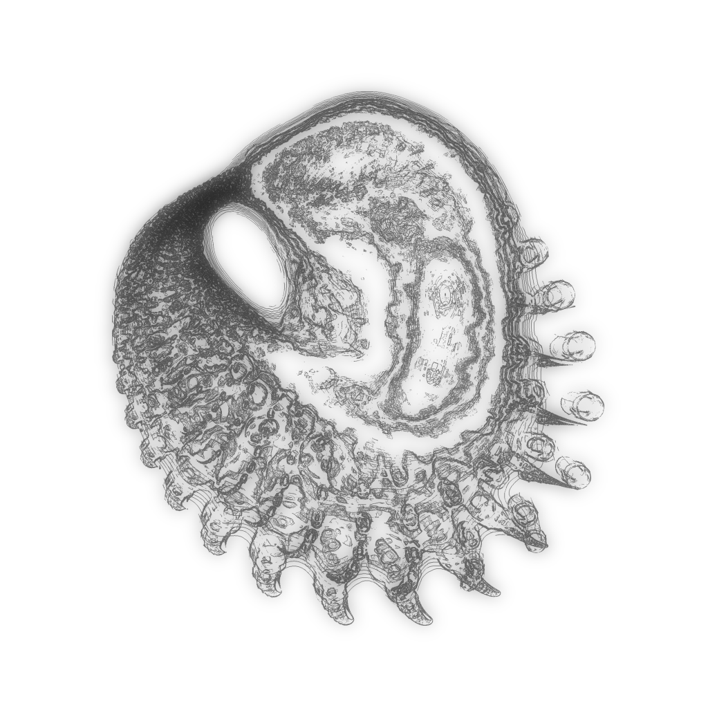 A Day in Asia 202111230612