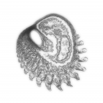 A Day in Asia 202111230612