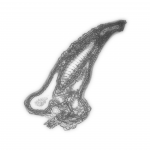 A Day in Asia 202111241337